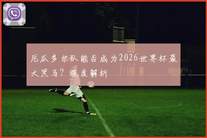 厄瓜多尔队能否成为2026世界杯最大黑马?深度解析