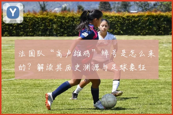法国队“高卢雄鸡”绰号是怎么来的?解读其历史渊源与足球象征